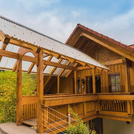 Haus Sigmund Διαμέρισμα Oberharmersbach Εξωτερικό φωτογραφία