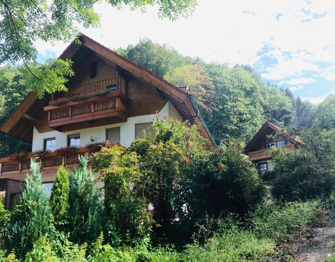 Haus Sigmund Διαμέρισμα Oberharmersbach Εξωτερικό φωτογραφία