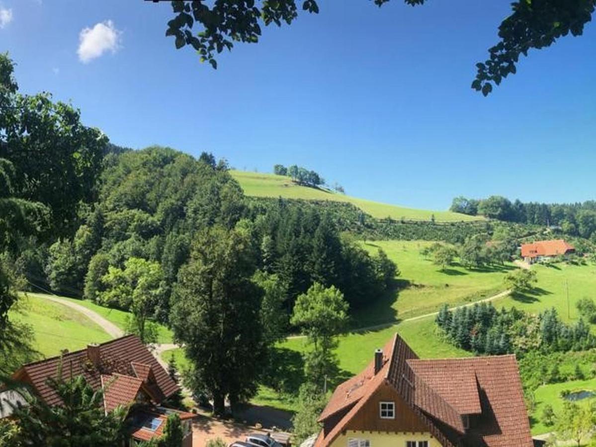 Haus Sigmund Διαμέρισμα Oberharmersbach Εξωτερικό φωτογραφία