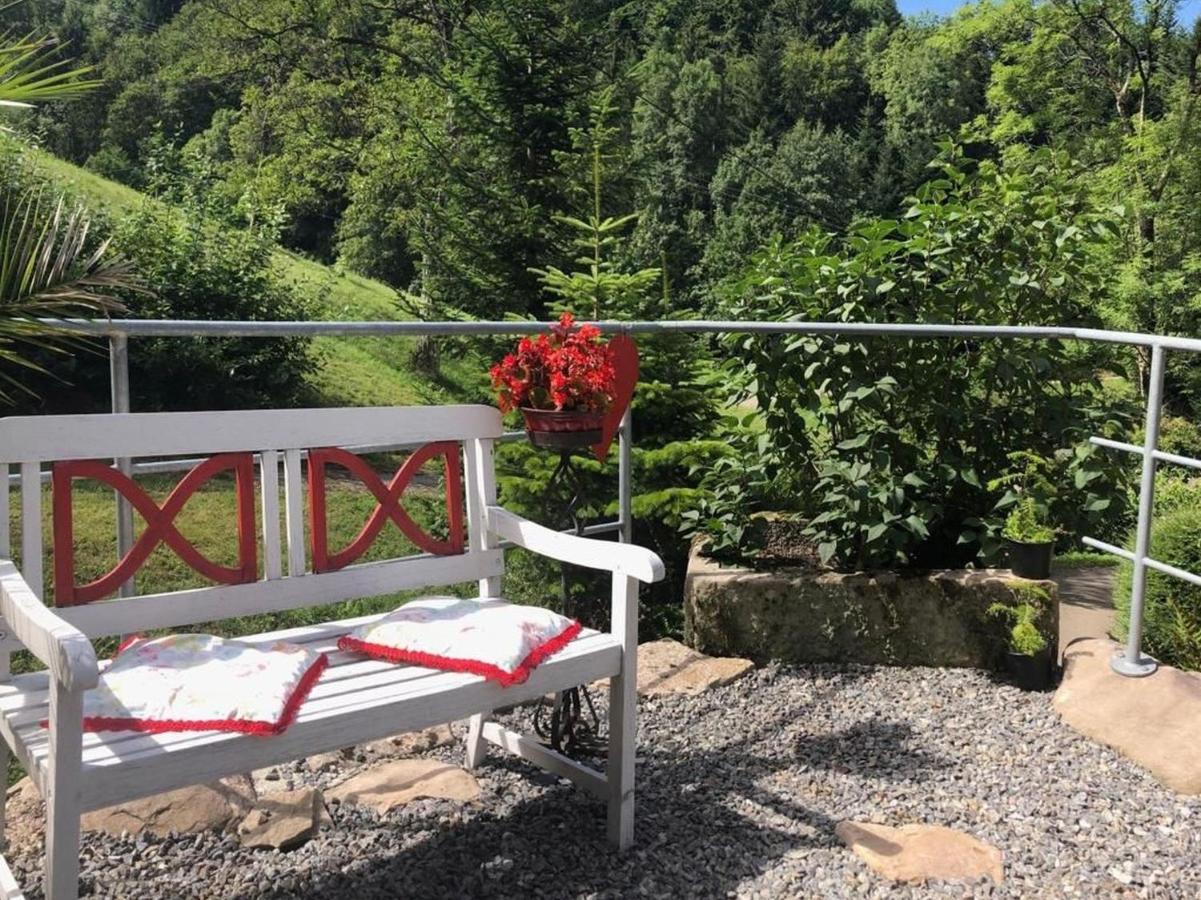 Haus Sigmund Διαμέρισμα Oberharmersbach Εξωτερικό φωτογραφία