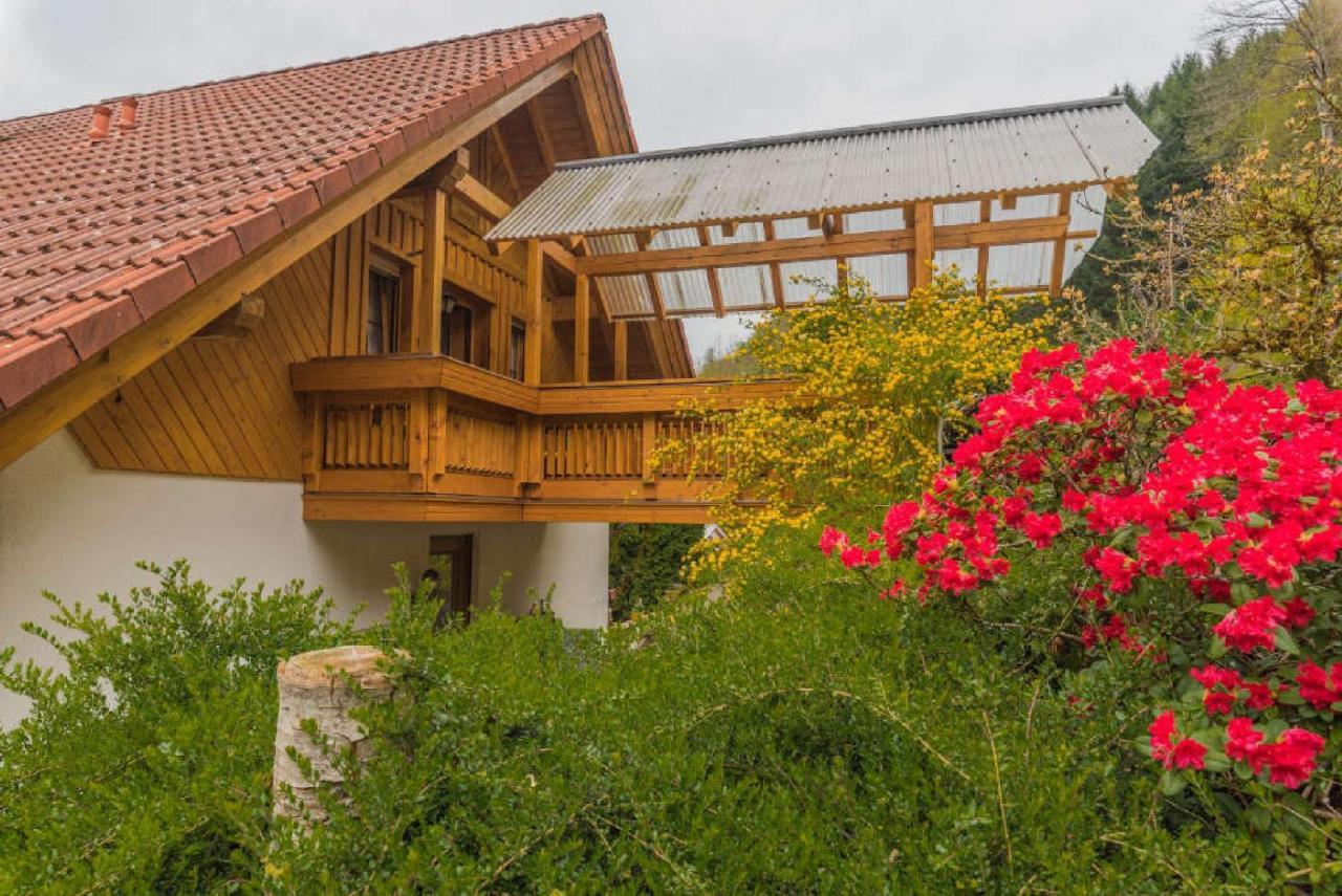 Haus Sigmund Διαμέρισμα Oberharmersbach Εξωτερικό φωτογραφία